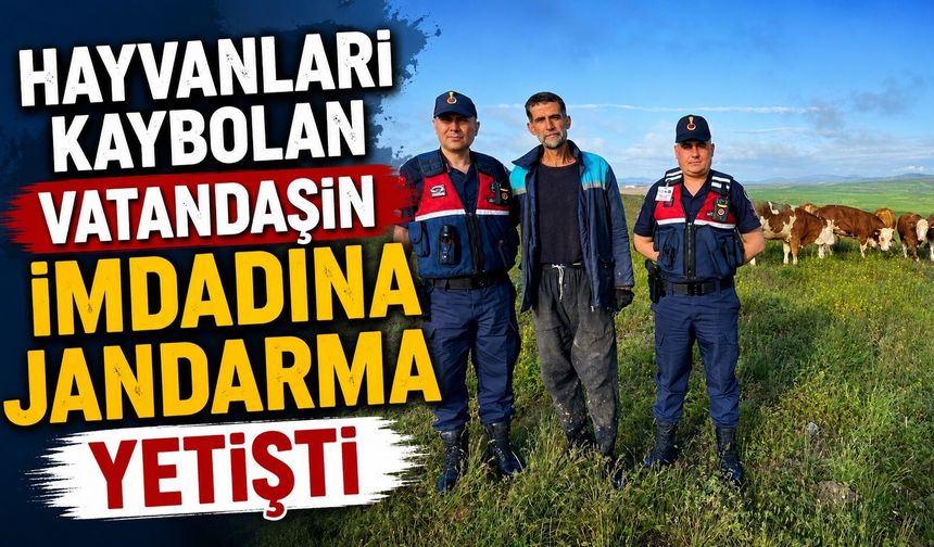Hayvanları kaybolan vatandaşın imdadına Jandarma yetişti