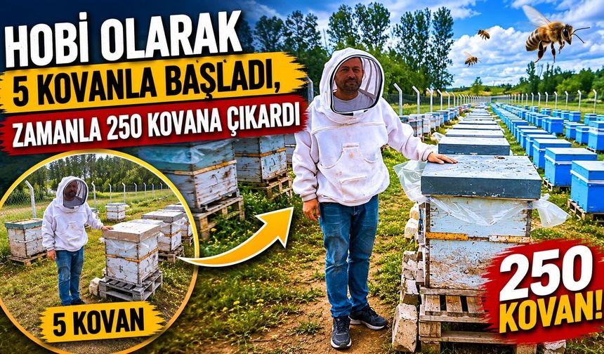 Hobi olarak 5 kovanla başladı, zamanla 250 kovana çıkardı