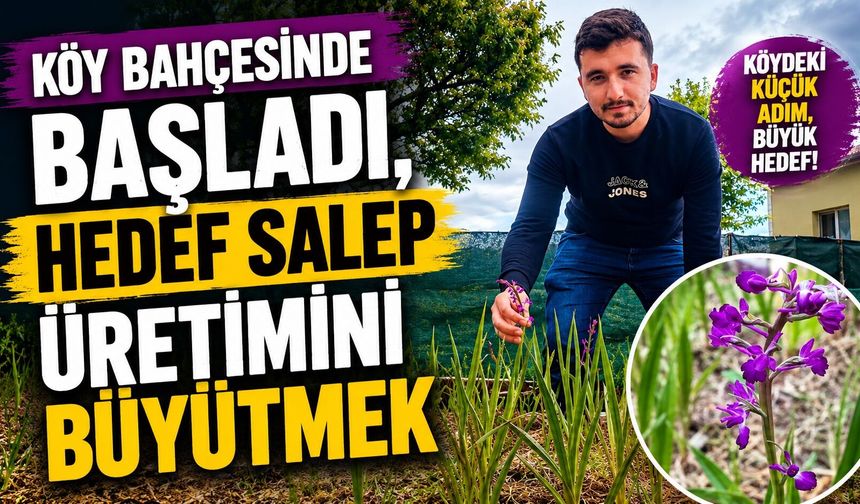 Köy bahçesinde başladı, hedef salep üretimini büyütmek