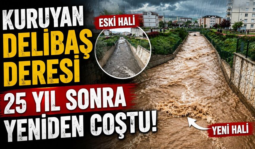 Kuruyan Delibaş deresi 25 yıl sonra yeniden coştu