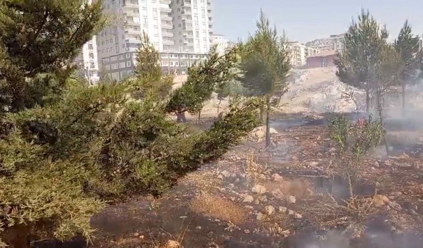 Mardin'de farklı noktalarda çıkan yangınlara müdahale sürüyor