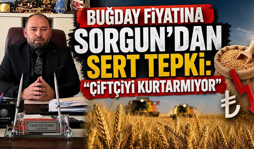 Buğday Fiyatına Sorgun'dan Sert Tepki: "Çiftçiyi Kurtarmıyor"