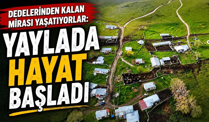 Dedelerinden kalan mirası yaşatıyorlar: Yaylada hayat başladı