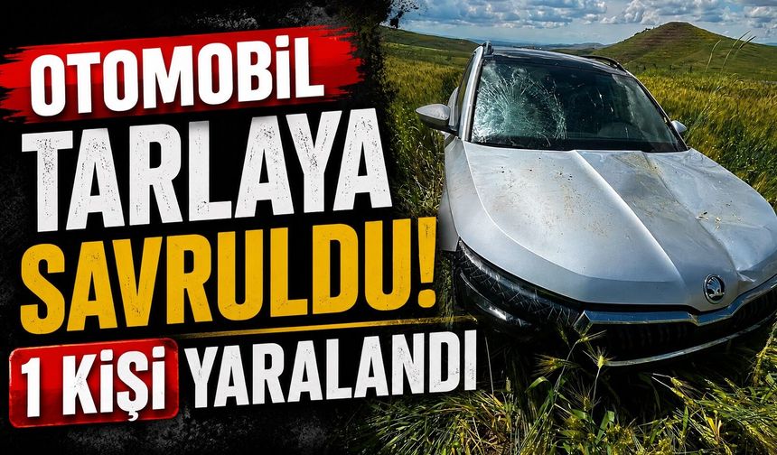 Otomobil tarlaya savruldu, 1 kişi yaralandı