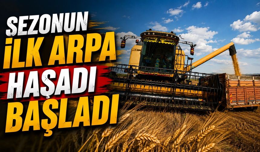 Sezonun ilk arpa hasadı başladı: Verim geçen yıla oranla yüksek