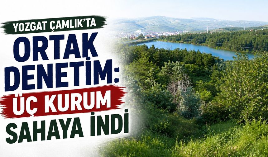 Yozgat Çamlık'ta Ortak Denetim: Üç Kurum Sahaya İndi