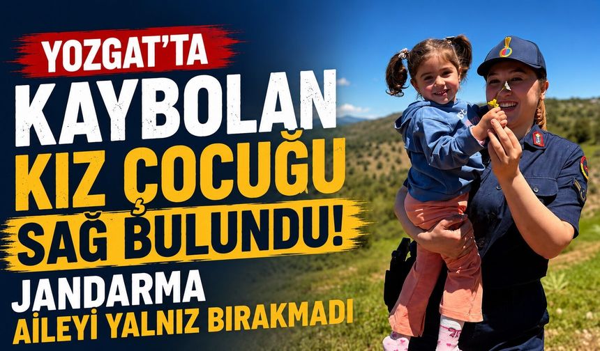 Saraykent'te Meşe Kesimi Gerginliği: Jandarma 20 Kişilik Grubu Sakinleştirdi