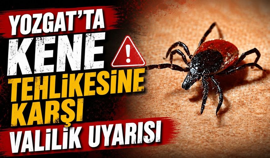 Yozgat'ta Kene Tehlikesine Karşı Valilik Uyarısı