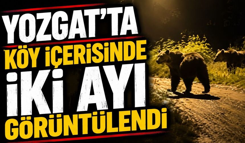 Yozgat'ta iki bin yıllık olduğu değerlendirilen lahit bulundu