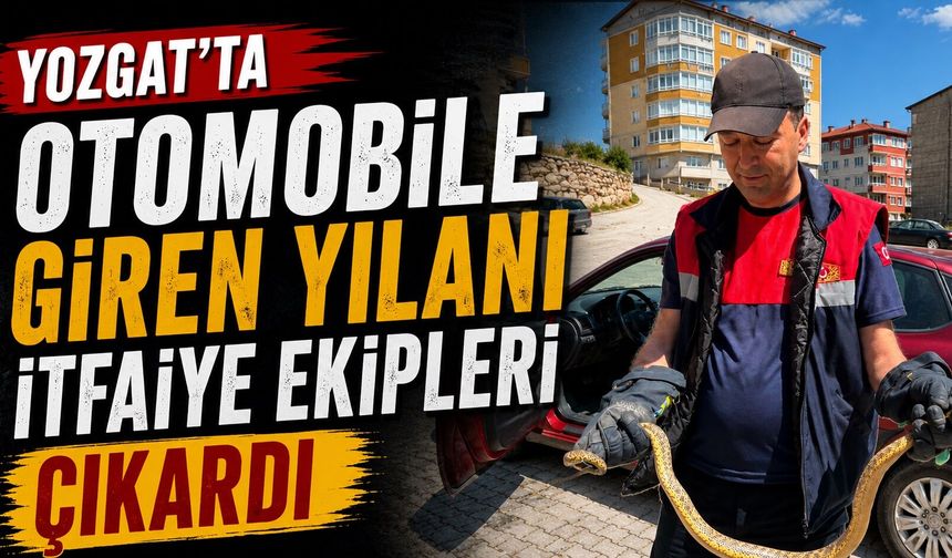 Yozgat'ta otomobile giren yılanı itfaiye ekipleri çıkardı