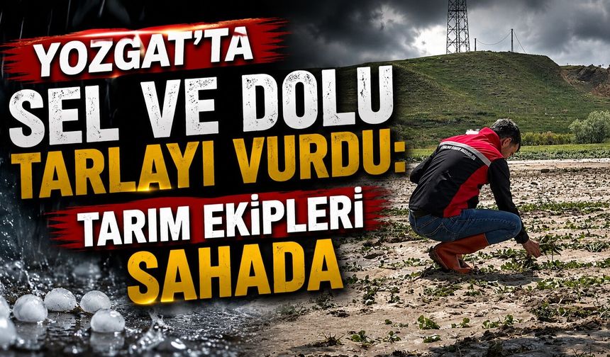 Yozgat'ta Sel ve Dolu Tarlayı Vurdu: Tarım Ekipleri Sahada
