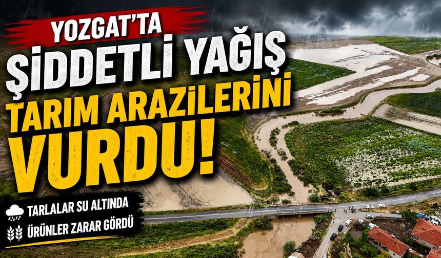 Yozgat'ta şiddetli yağış tarım arazilerini vurdu