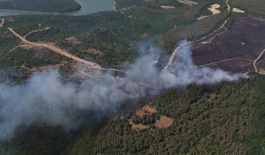 Anızdan ormana sıçrayan yangın dron ile görüntülendi