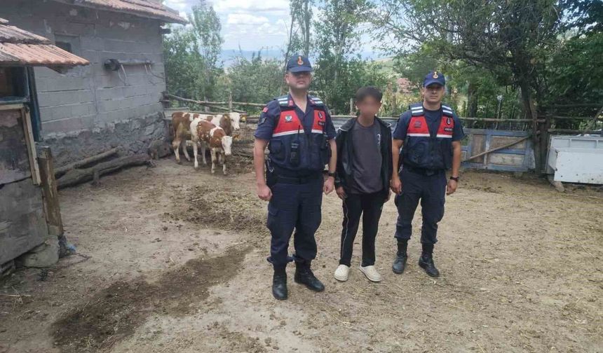 Hayvanlarını kaybeden çiftçinin yardımına Jandarma ekipleri koştu