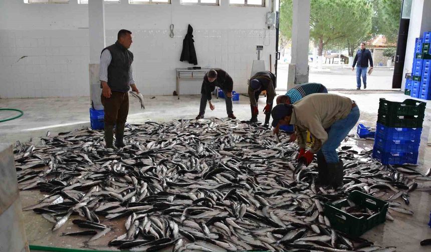 Muğla'nın Haziran ayı ihracatı 125,9 milyon dolar