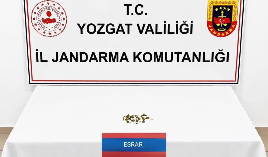 Yozgat'ta uyuşturucu operasyonunda 1 gözaltı