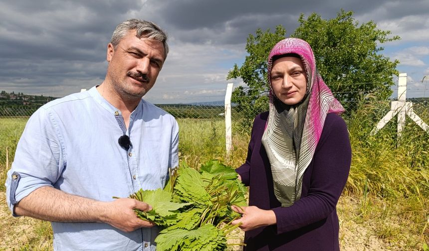 Çekerek'te Akıllı Bağcılık: Telli Terbiye Sistemiyle Çiftin Başarı Hikayesi