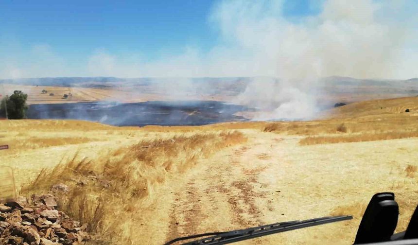 Anız yangınında yaklaşık 300 dönüm arazi yandı