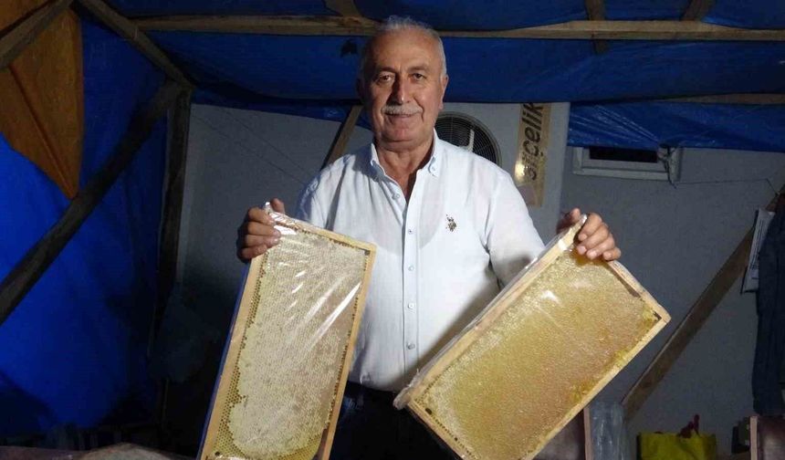 Çamoluk Bal Festivali'nde 1 milyon 400 bin liralık ağalık yarışı