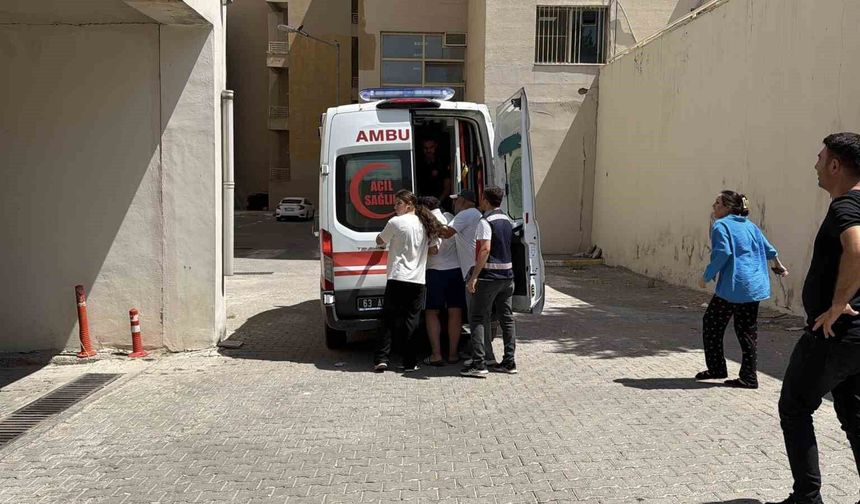 Siverek'te Fırat Nehri'ne giren 2 kişi boğuldu