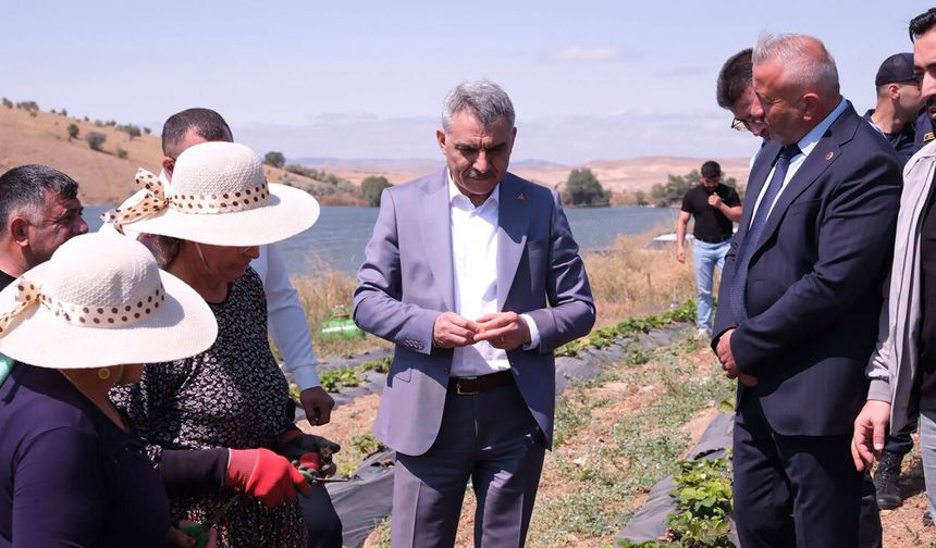 Vali Özkan'dan Doğankent'teki Çilek Tarlasına Ziyaret