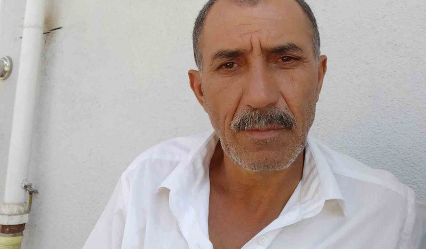 Arı sokması sonrasında rahatsızlanan vatandaş hayatını kaybetti