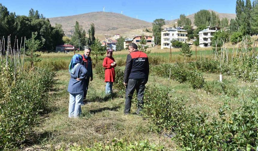 Bayburt'ta aronya üretimi yapan çiftçiye ziyaret