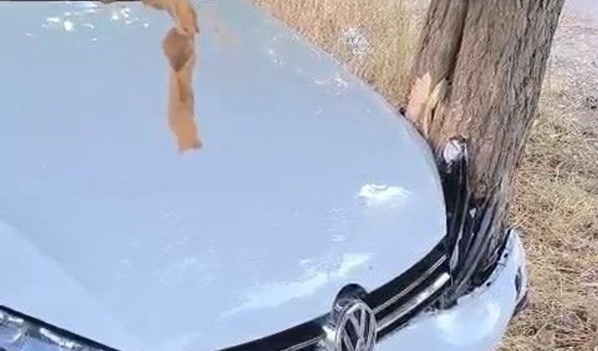 Elazığ'da trafik kazası :2 yaralı