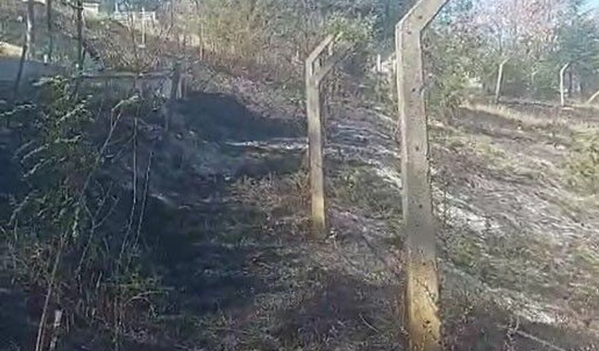 Kastamonu'da otluk alanda çıkan yangın mezarlara zarar verdi