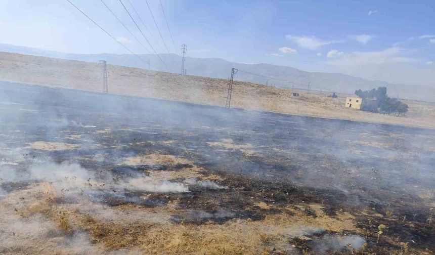 Muş'ta iki bölgede çıkan anız yangınları söndürüldü