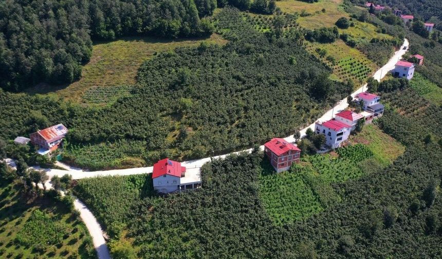 Ordu'da 35 yıllık yol sorunu çözüme kavuşturuldu