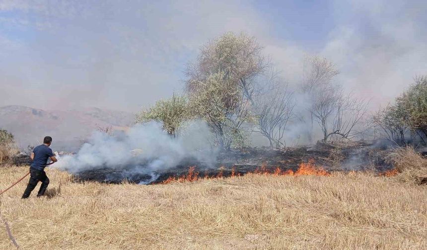Saraykent'te 150 dönüm arazi yandı