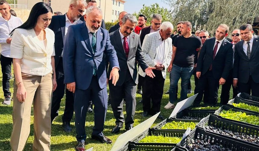 Şırnak'ta üreticilere 152 bin sebze fidesi ve çoban çantası dağıtıldı