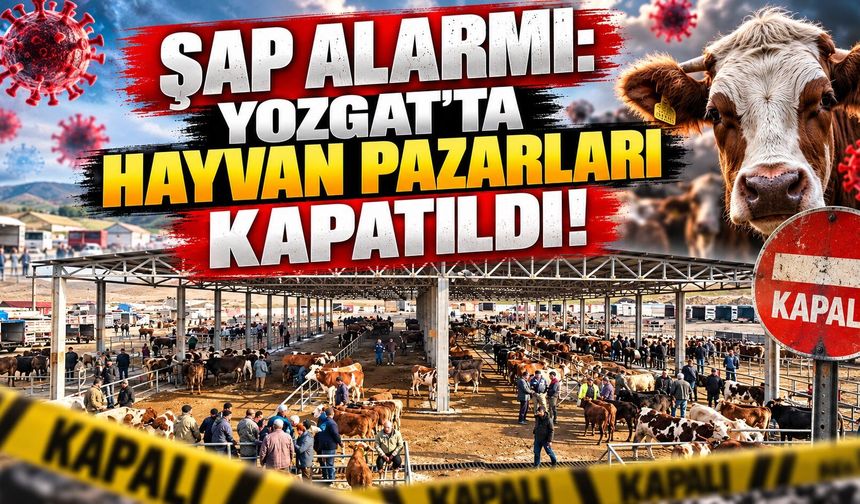 Şap Alarmı: Yozgat'ta Hayvan Pazarları Kapatıldı