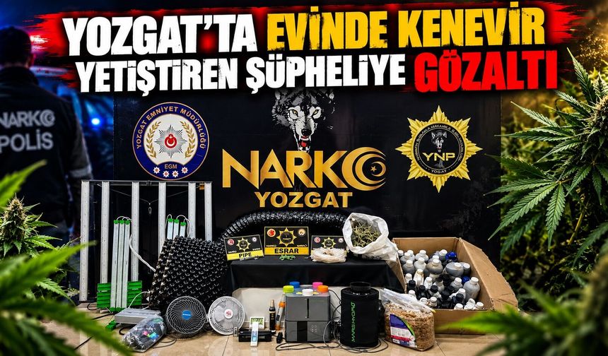 Yozgat'ta Evinde Kenevir Yetiştiren Şüpheliye Gözaltı