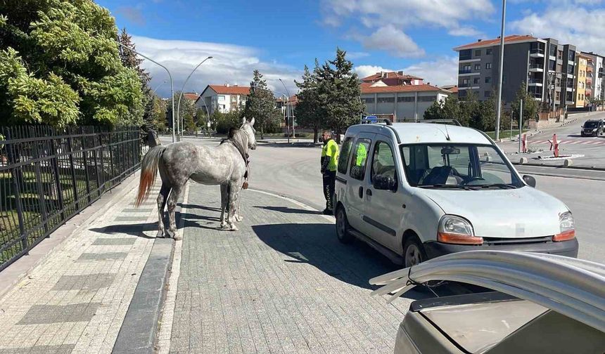 Karaman'da firari atın otomobile çarptığı anlar kameraya yansıdı