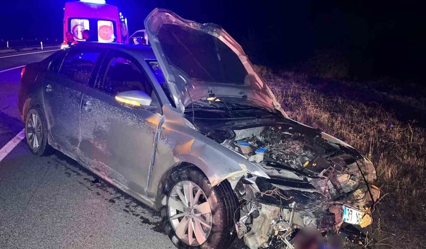 Kastamonu'da otomobil domuz sürüsüne çarptı: 2 yaralı