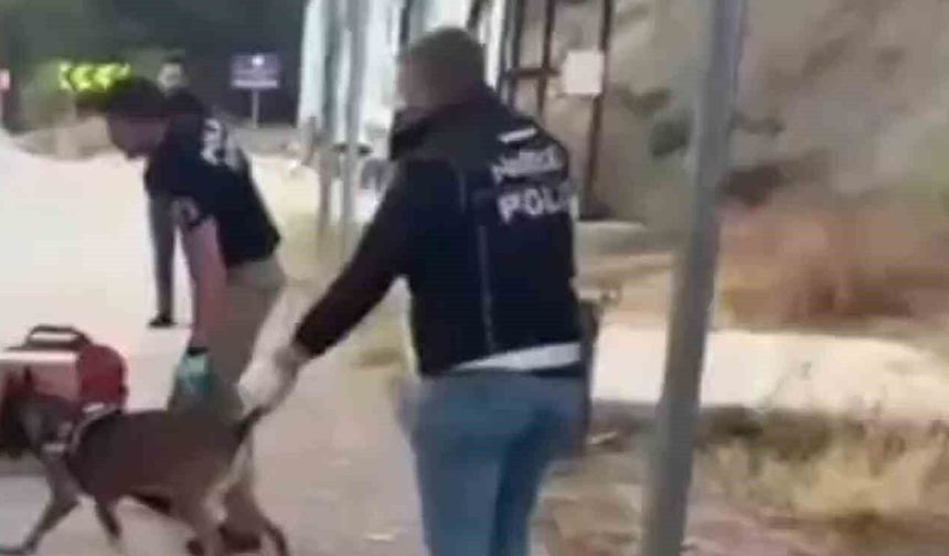 Sinop uyuşturucu operasyonu: 3 tutuklama