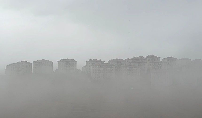 Yüksekova'da yoğun sis etkisini sürdürüyor