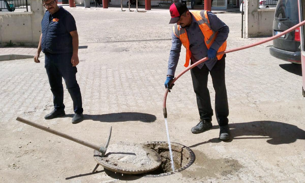 Şefaatli'de sinek ve haşerata erken önlem (2)