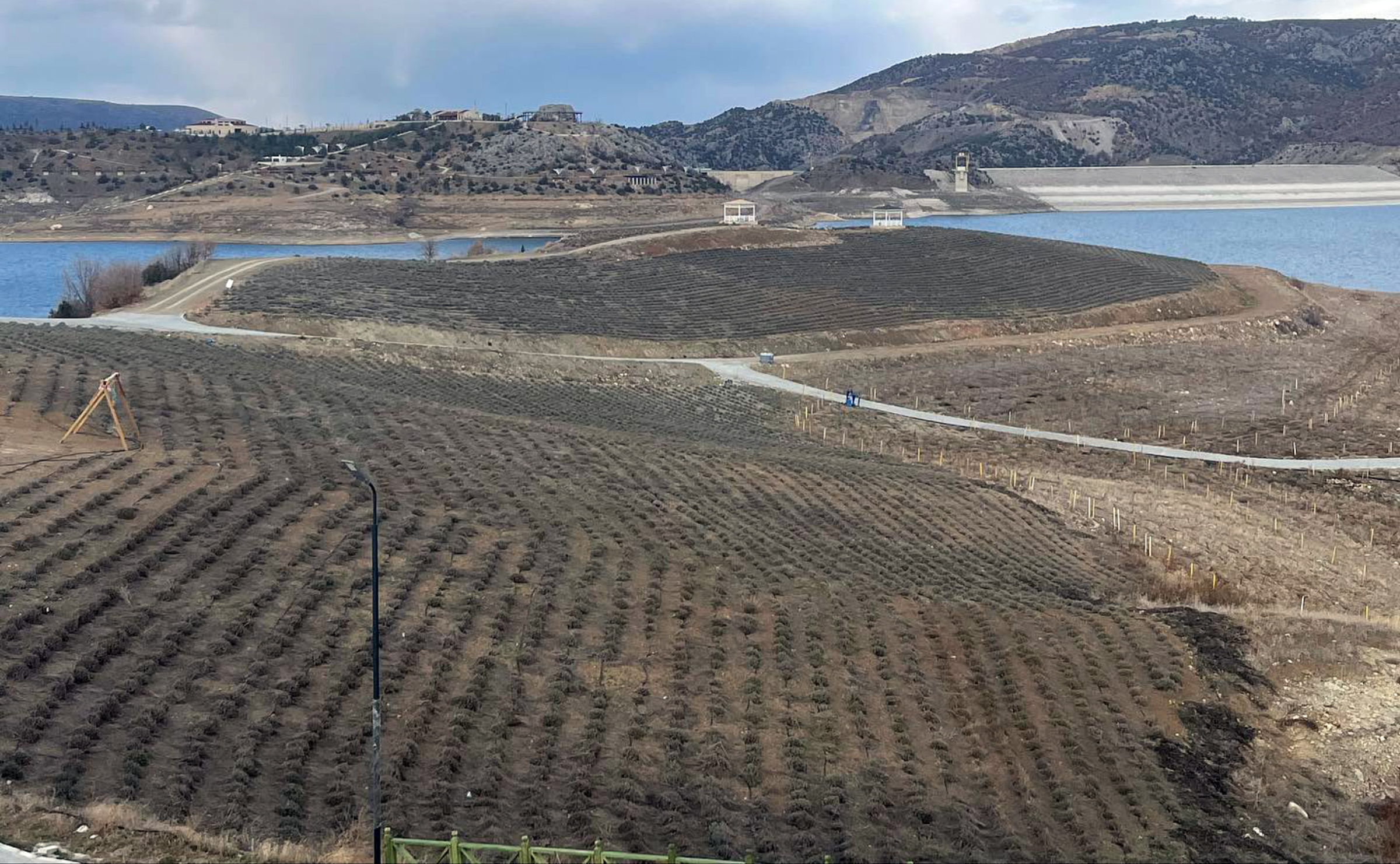 Lavanta Adası’na konaklama tesisi (2)