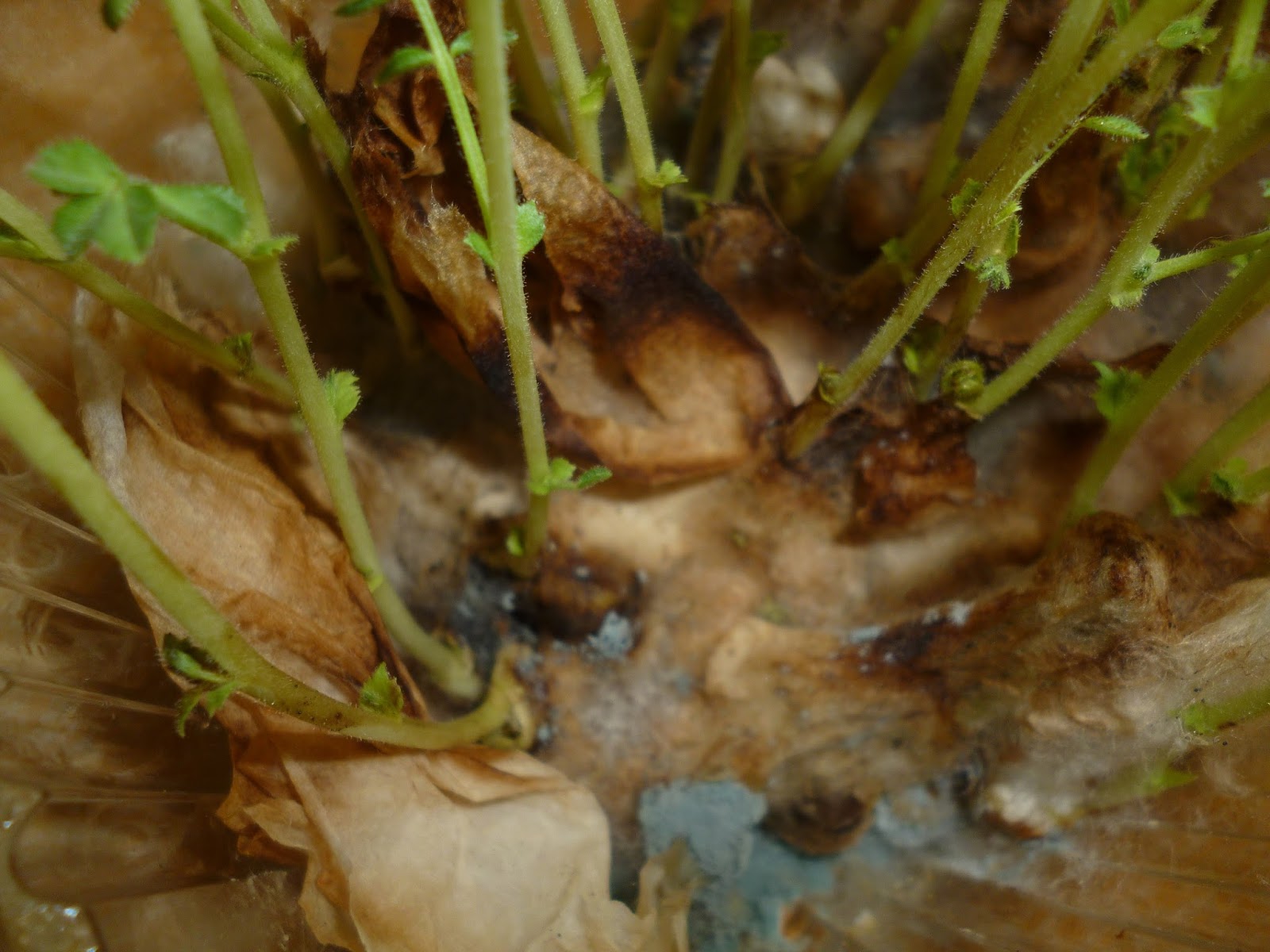 Yozgat Ziraat Odası Başkanı Açıkgöz'den Çiftçilere Uyarı2