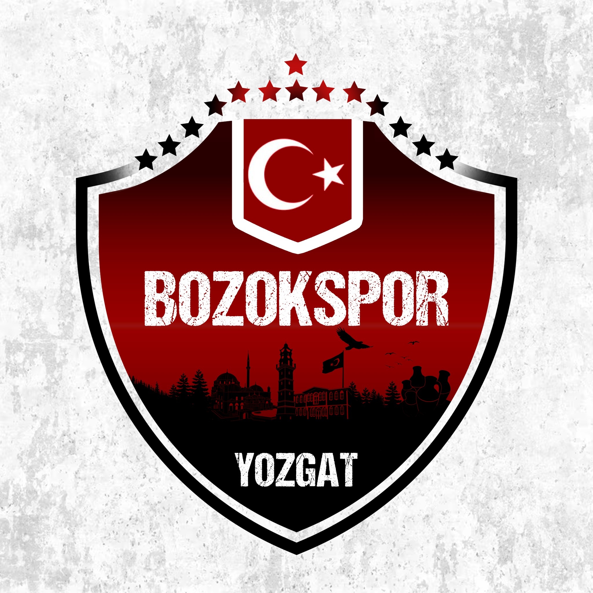 bozokspor logo