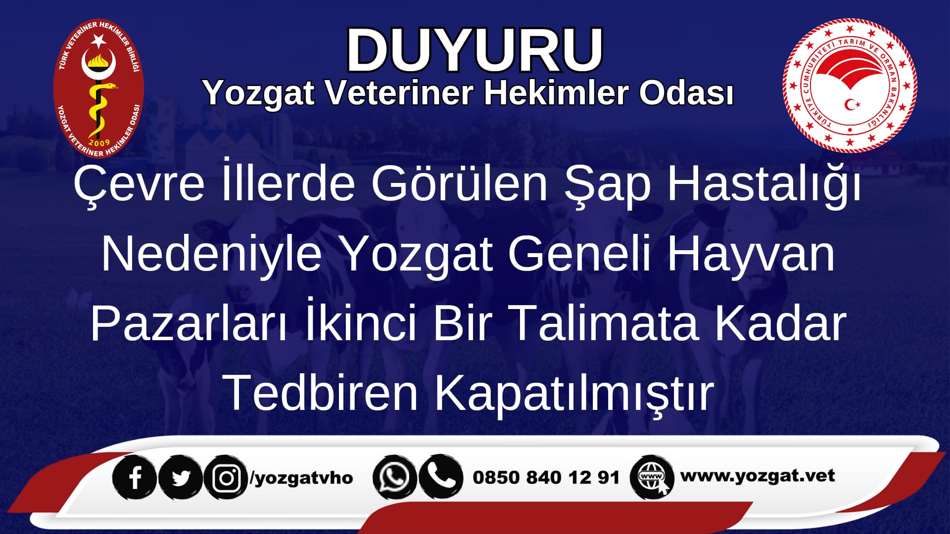 Yozgat Geneli Hayvan Pazarları Kapatıldı