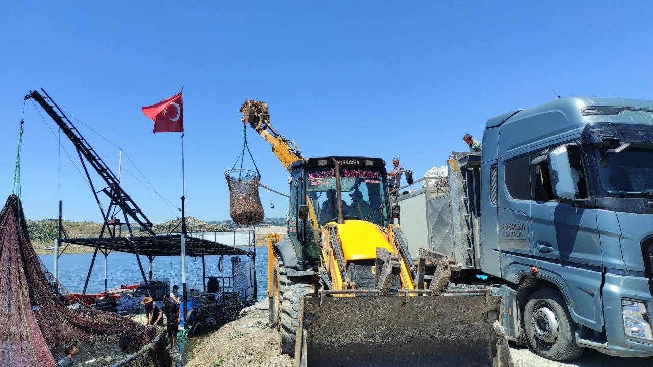 Yozgat'ta üretilen balıklar Avrupa'da sofraları süslüyor (2)