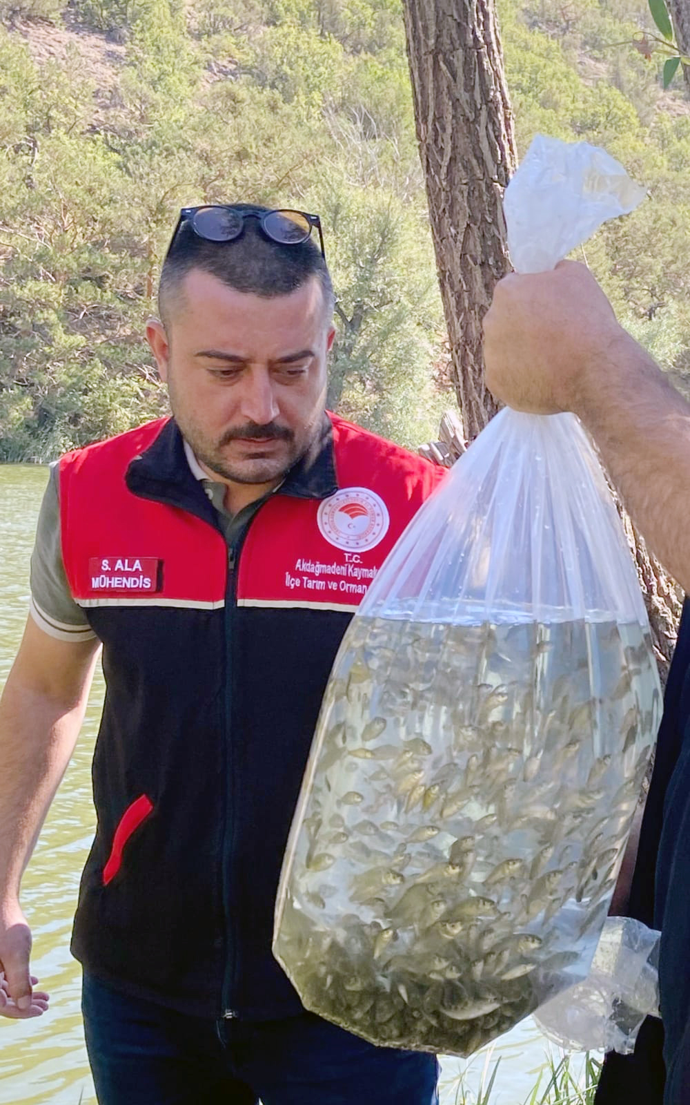 Yozgat'taki göletlere 60 bin yavru balık bırakıldı (2)
