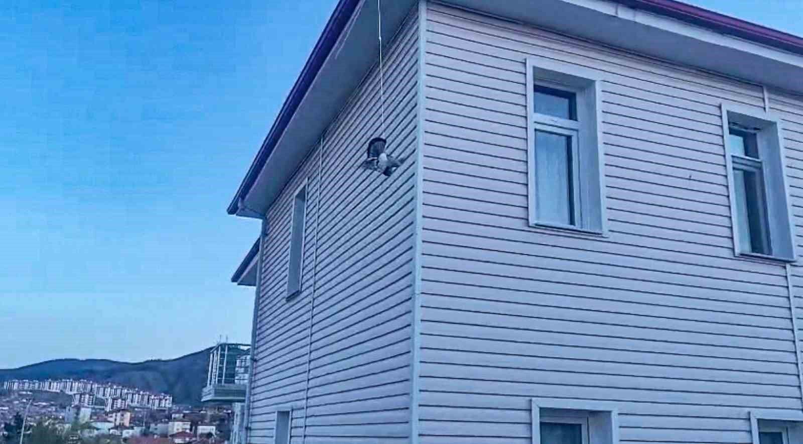 Çorum'da ipe takılan güvercini itfaiye kurtardı