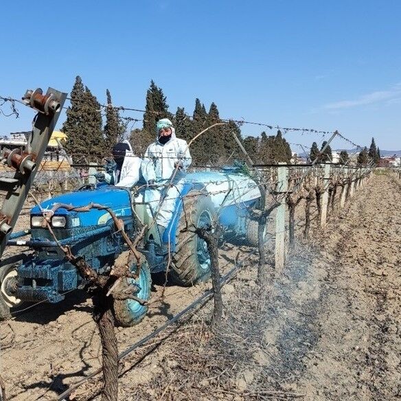 Erzincan Tarım Müdürlüğü'nden bordo bulamacı uyarısı: Uygulama zamanını kaçırmayın