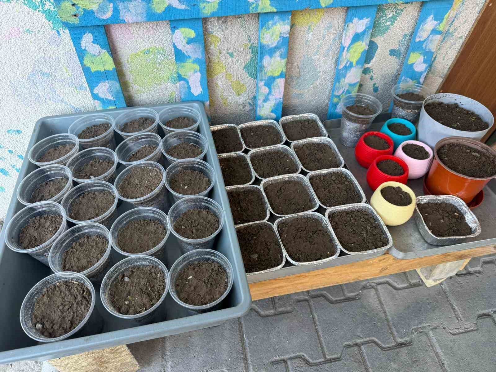 Iğdır'da Nevruz'un simgesi semeniler hazırlanmaya başlandı