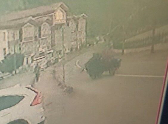 Kastamonu'da lastiği fırlayan tarım aracı takla attı: 1 yaralı